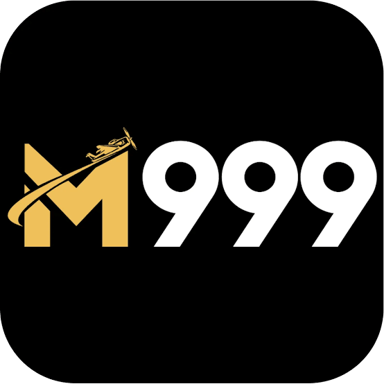 M999 Register